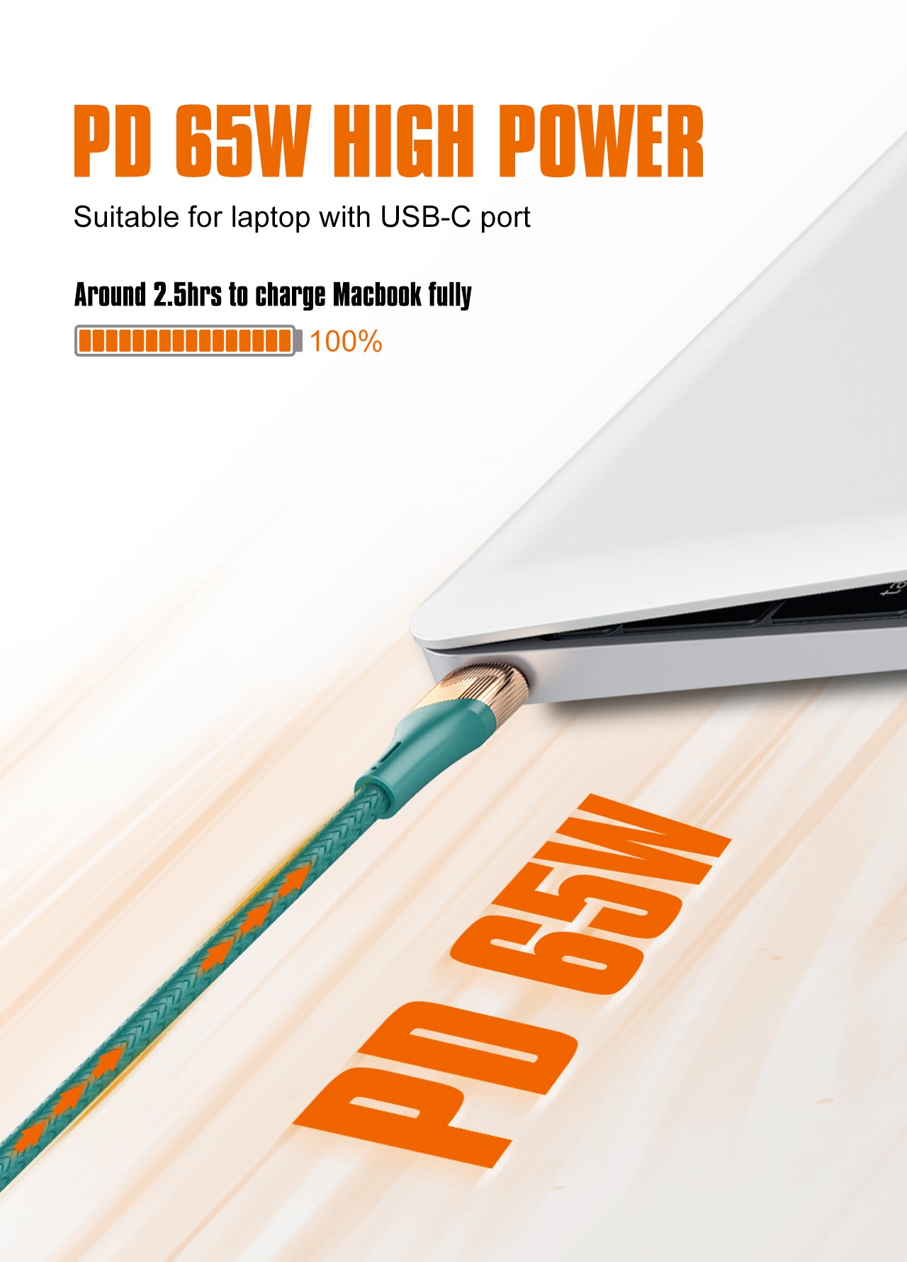 LC831C Lade/data kabel - 1m